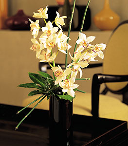  Ankara Glba ncek iekiler  cam yada mika vazo ierisinde dal orkide